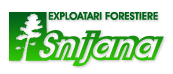 Snijana - Exploatari forestiere