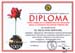 Diploma